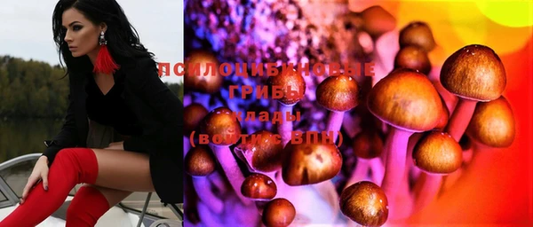 прущий лед Няндома