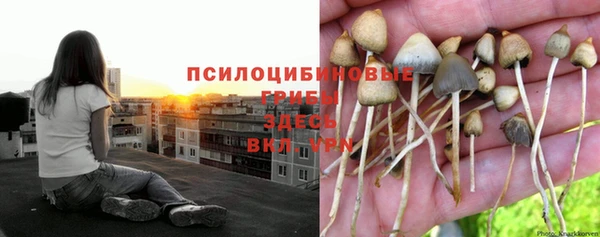 эйфоретик Осташков
