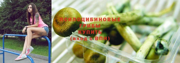 прущий лед Няндома