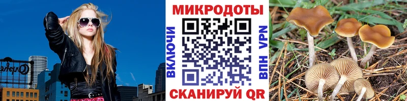 Псилоцибиновые грибы MAGIC MUSHROOMS Иркутск