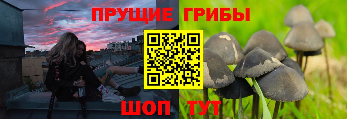 Псилоцибиновые грибы прущие грибы  Вход с VPN  Иркутск 